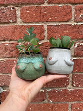 Load image into Gallery viewer, Lil Venus Planter
